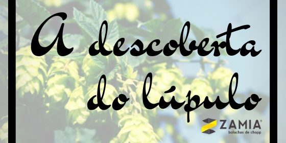 descoberta-lupulo porta copos personalizados