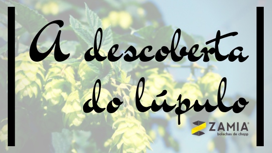 descoberta-lupulo porta copos personalizados